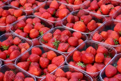 Fresh strawberries