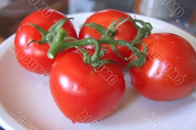 Red tomatoes