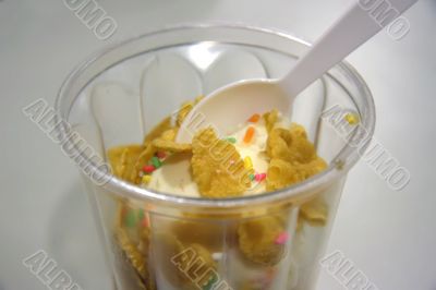 Ice cream