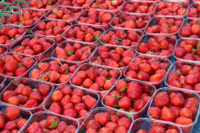 Fresh strawberries