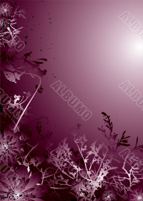 pink flower port