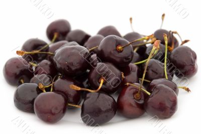 sweet cherry