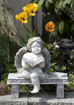 Reading angel