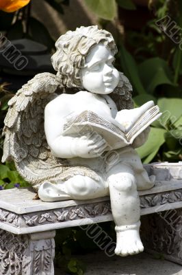 Reading angel