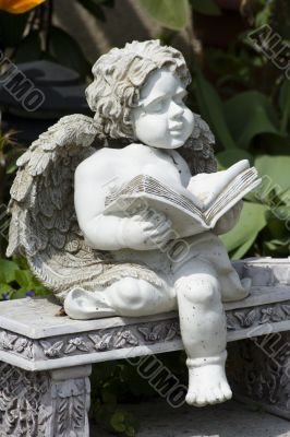 Reading angel