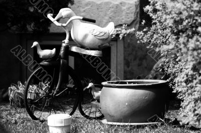 Garden with bike