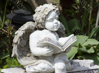 Reading angel