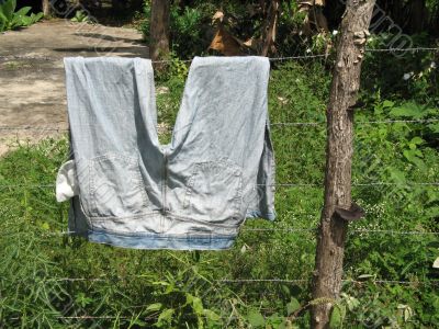 pants drying outside