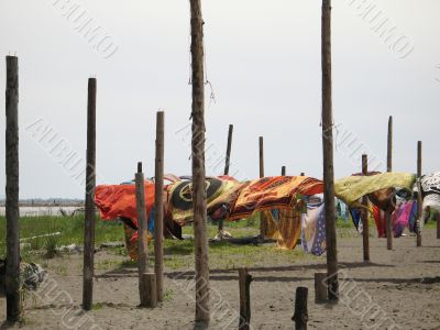 blankets in the wind