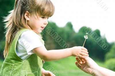 Fragility