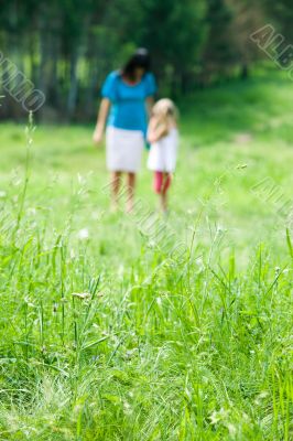 Green grass