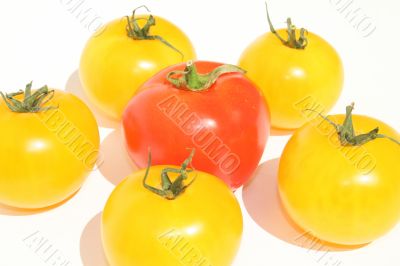 Red and yellow tomatoes