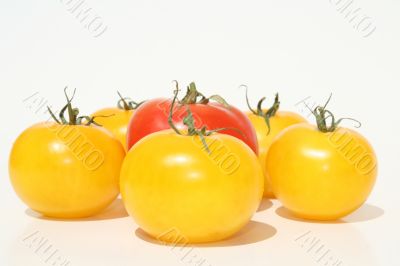 Red and yellow tomatoes
