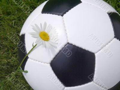 Soccer ball