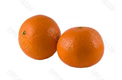 Two ripe oranges on a white background