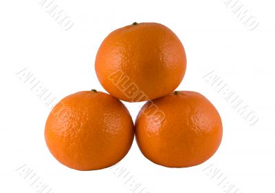 Three ripe oranges on a white background