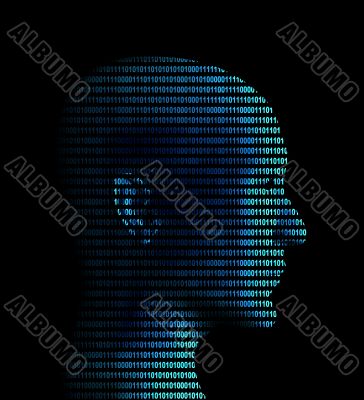 Human profile from a binary code