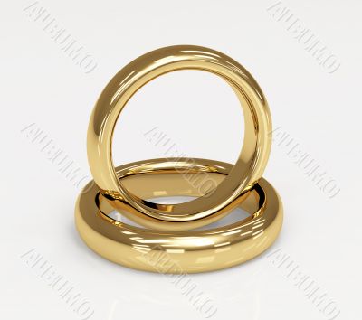 Two 3d gold wedding ring