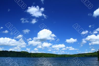 lakeside with tree line