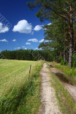 picturesque country road and field