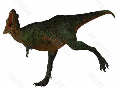 Aucasaurus-3D Dinosaur