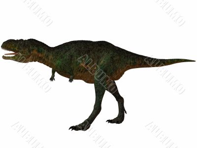 Aucasaurus-3D Dinosaur