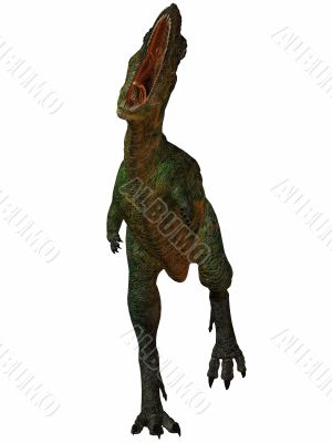 Aucasaurus-3D Dinosaur