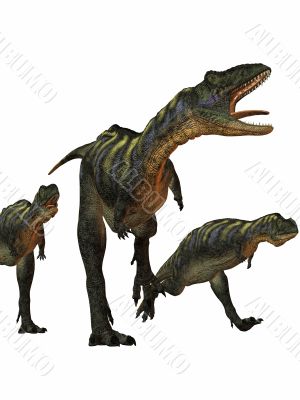 Aucasaurus-3D Dinosaur