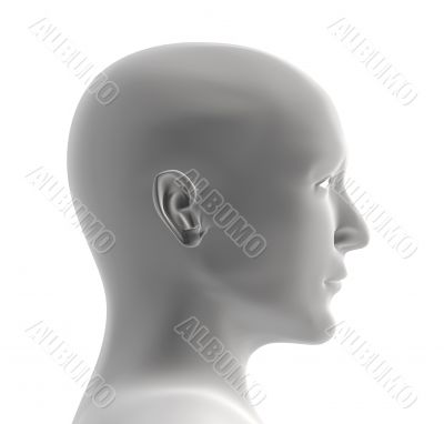 Human head of grey color