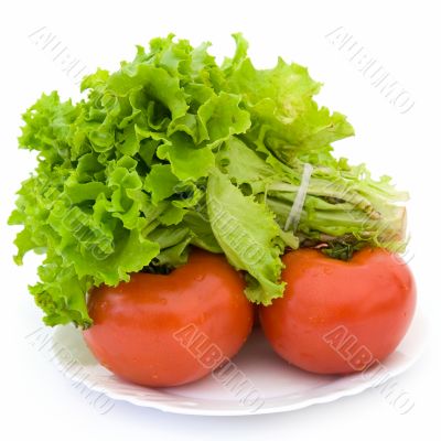 Lettuce and red tomatoes