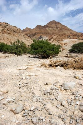 National Park Ein Gedi