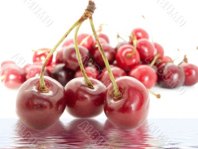 cherries are in water