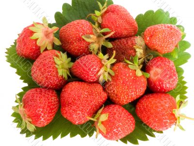 strawberry on leaves