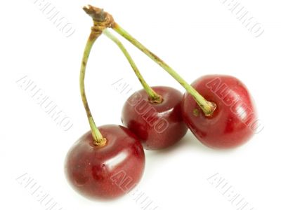 cherries