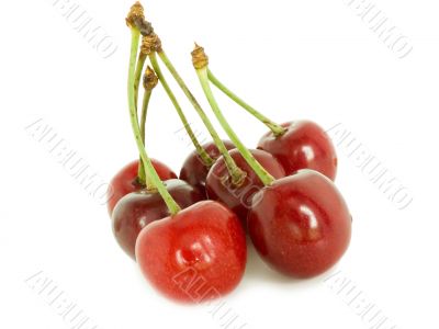 cherries