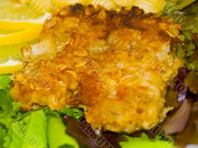 fish and macaronis 7
