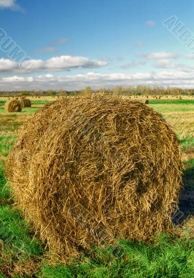Intorted roll of hay