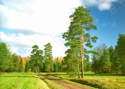 Way to the autumn park