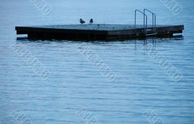 floater