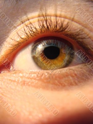 eye macro