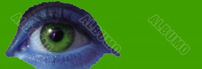 eye macro
