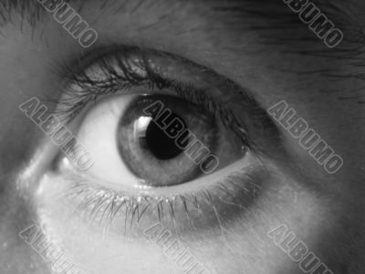 eye macro
