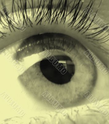 eye macro