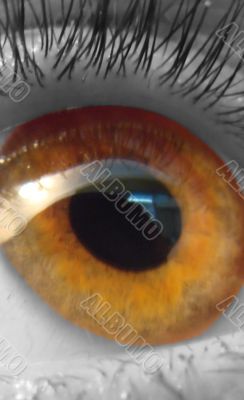 eye macro