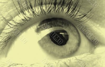 eye macro