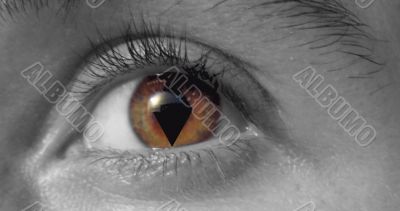 eye macro