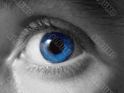 eye macro