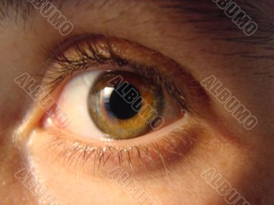eye macro