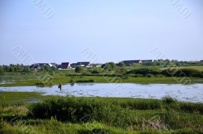 Rural landscape