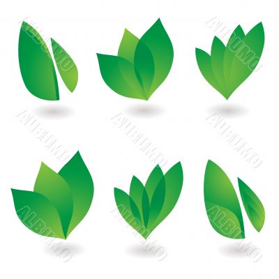 leaf icon